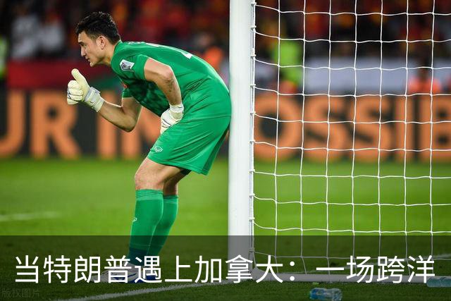 当特朗普遇上加拿大：一场跨洋“贸易战”的幽默波澜